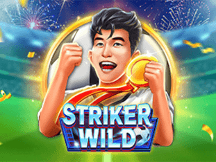 Striker Wild game thumbnail